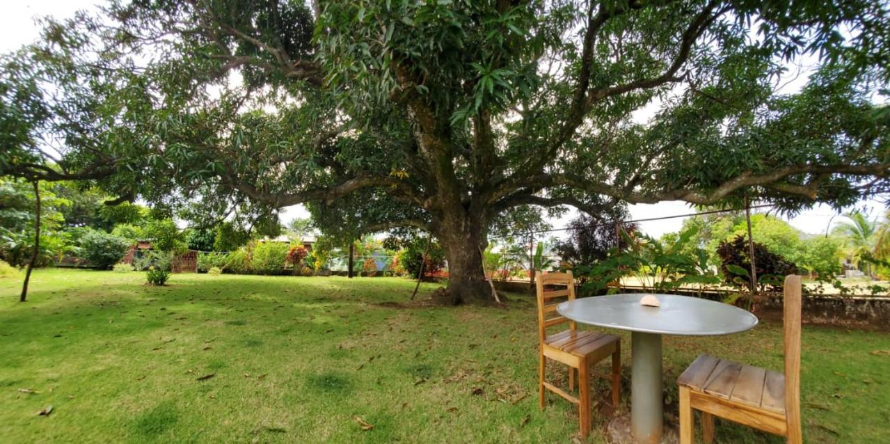 Apartamento The Little Dream House Islas del Maíz Exterior foto